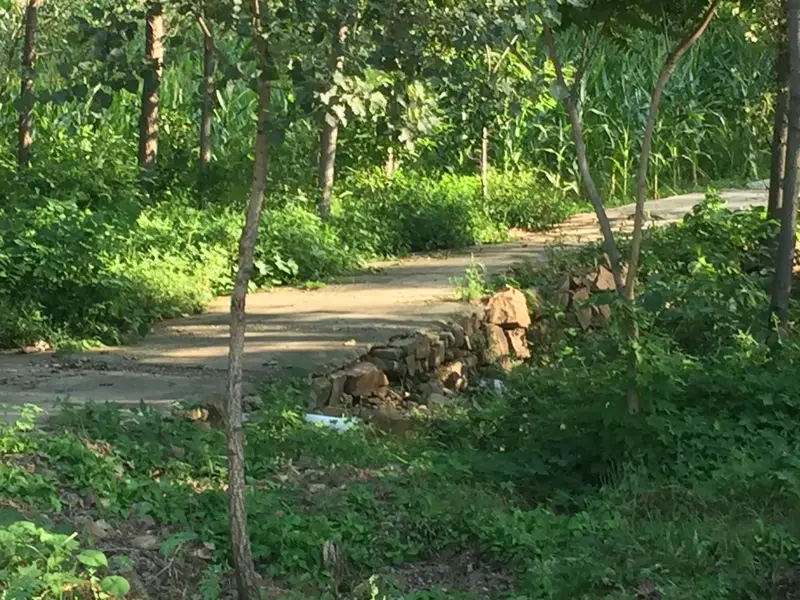 Longyunshan Scenic Area