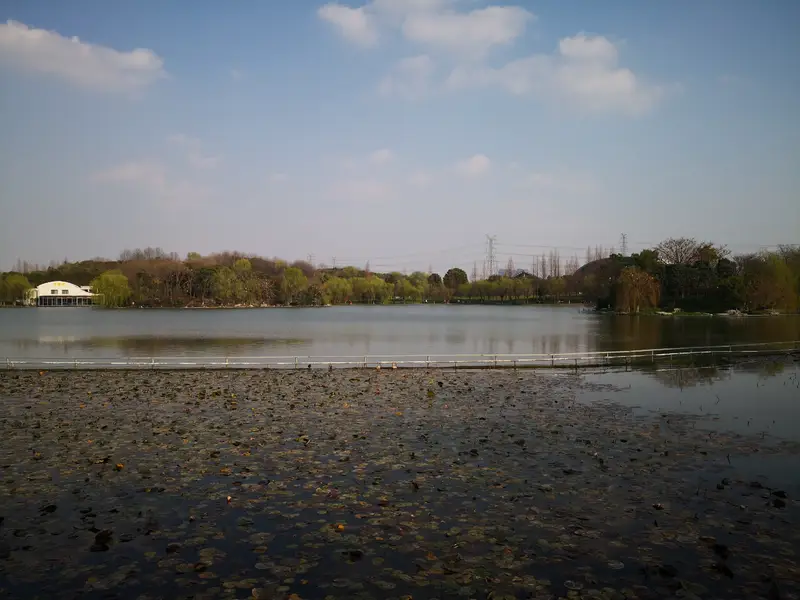 Minhang Sports Park - Jinxiu Lake