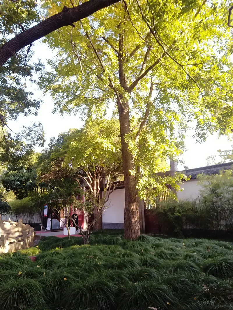 Chongsheng Temple