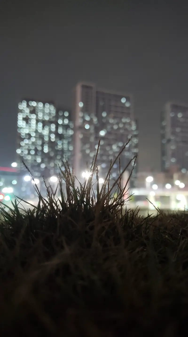 Shanxia Park