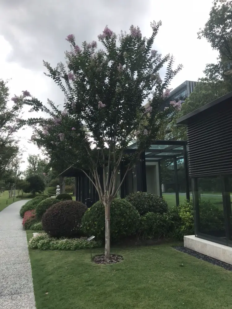 Food Art Park