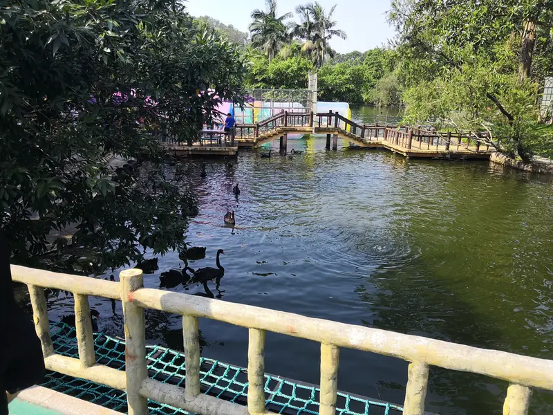 Shenzhen Safari Zoo - Bird Paradise