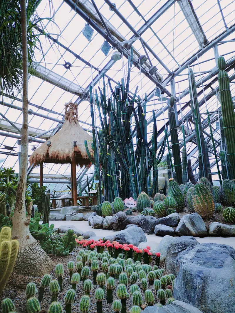Nanshan Botanic Garden - Greenhouse Exhibition Center