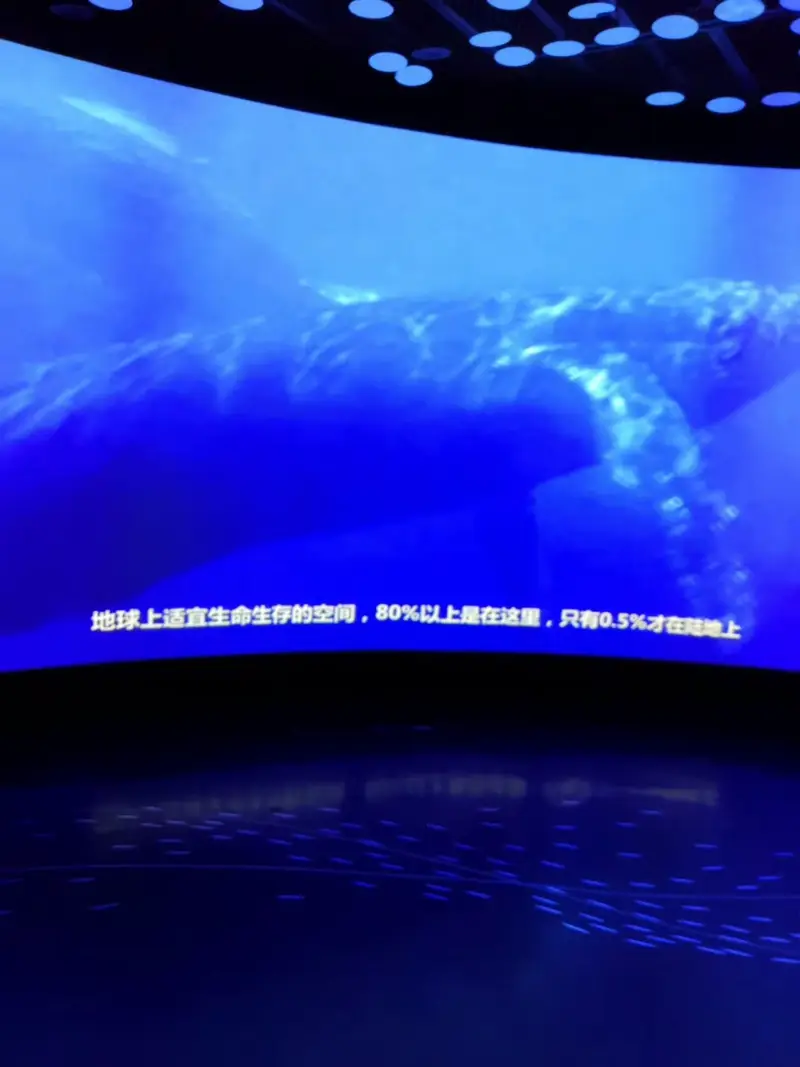 Deep Sea Exploration Pavilion