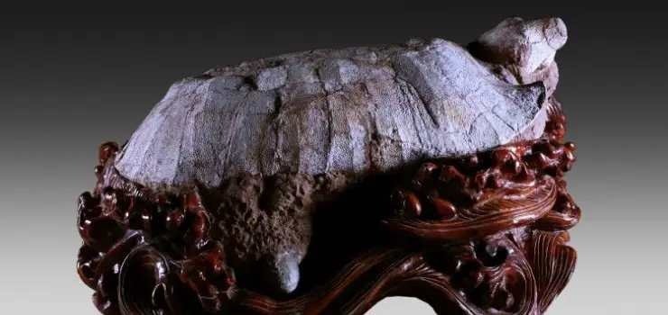 Eastern Geological Museum