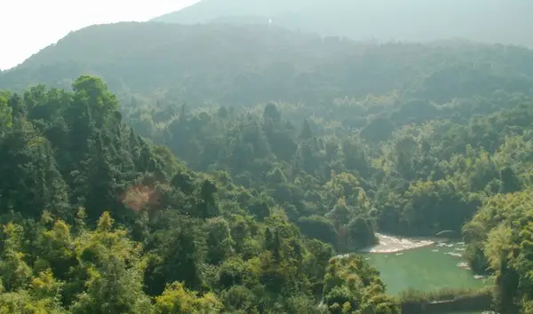 Sanzhou Tea Garden