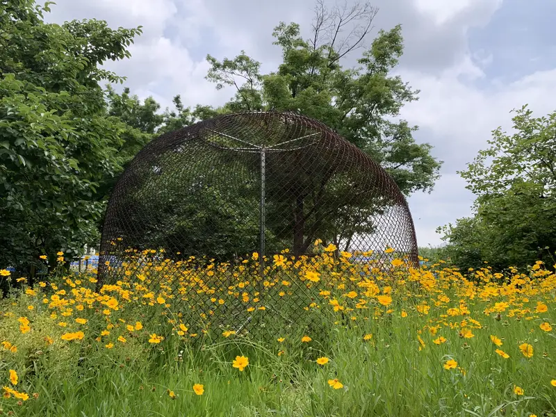 Expo Houtan Wetland Park