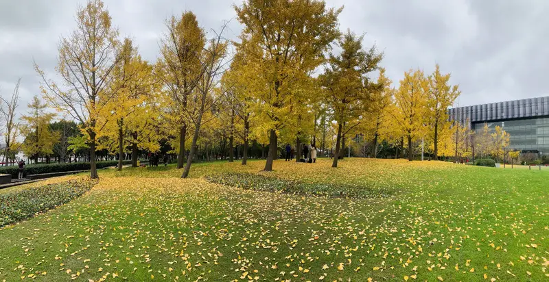 Expo Park
