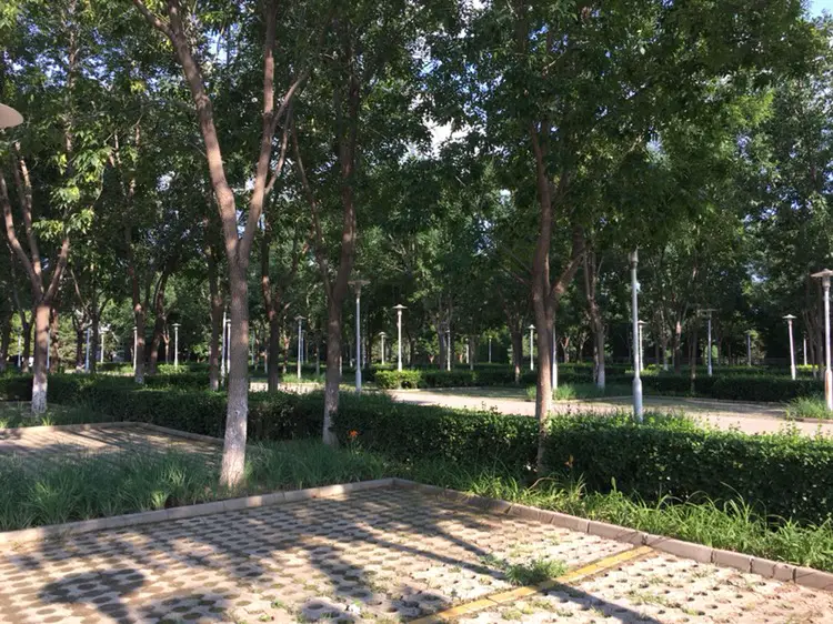 Nangong Camping Sports Park