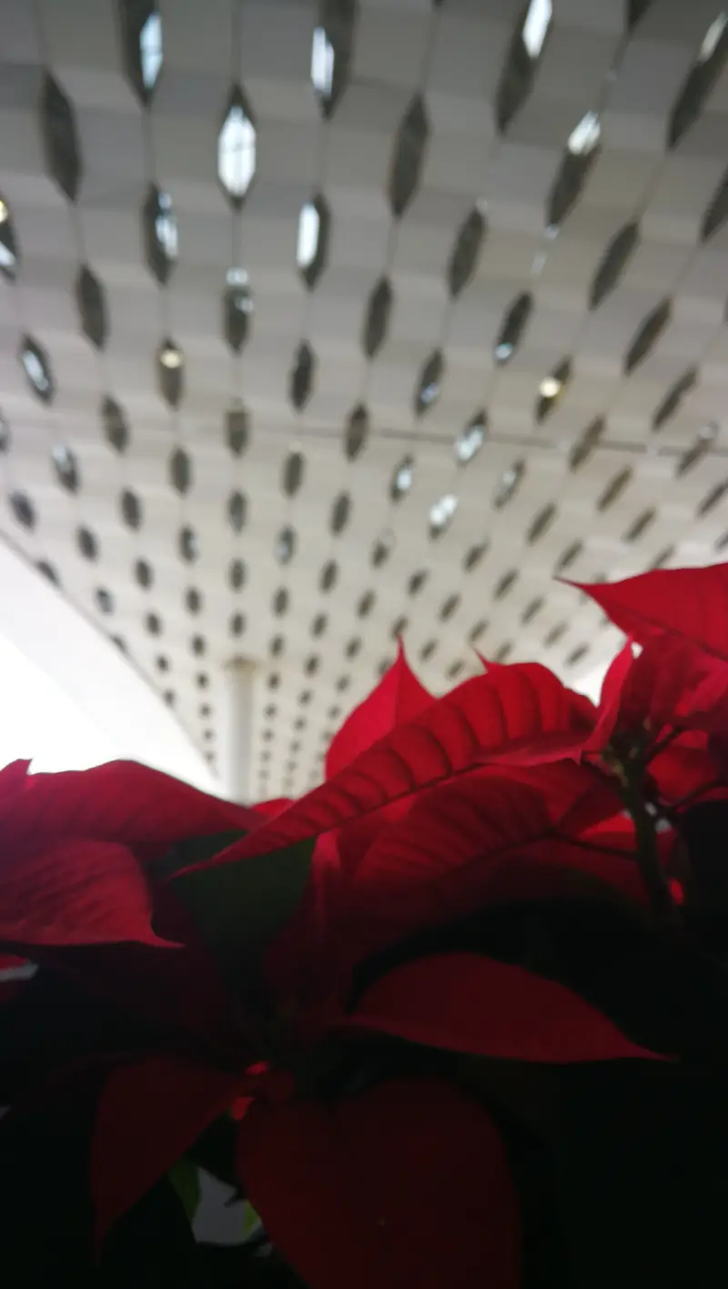 Royole Airport Experience Store