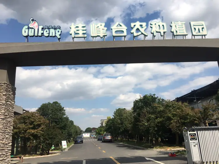 Guifeng Tainong Plantation
