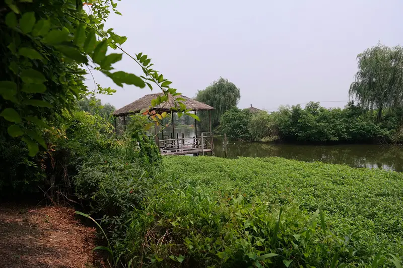 Qingpu Four Seasons Hundred Fruit Garden