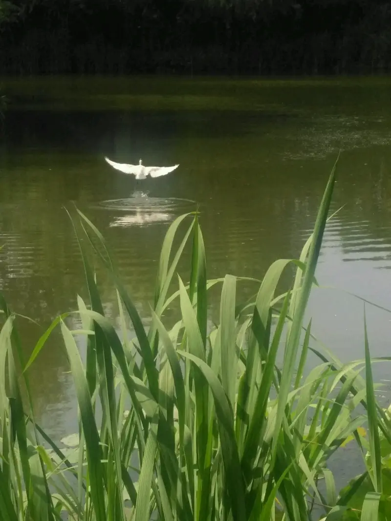 Xinjiangwan City Park