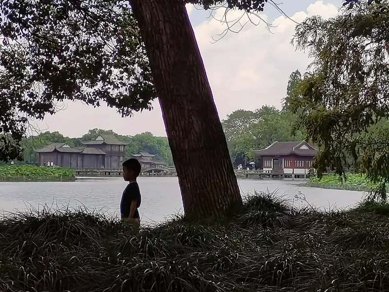 Lotus Pond Stele In Quyuan Garden