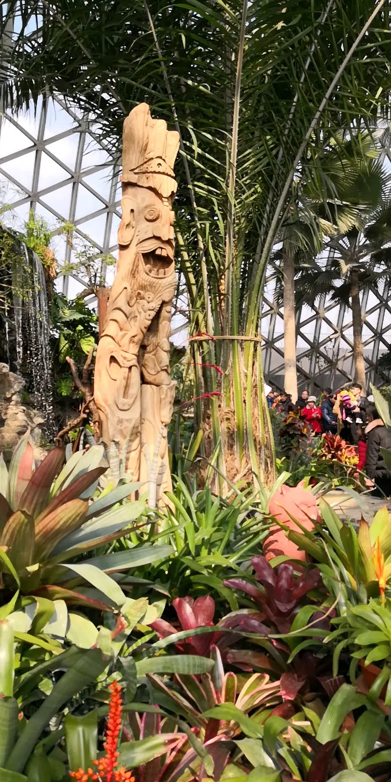 Shanghai Shenshan Botanical Garden - Succulent Plant Pavilion