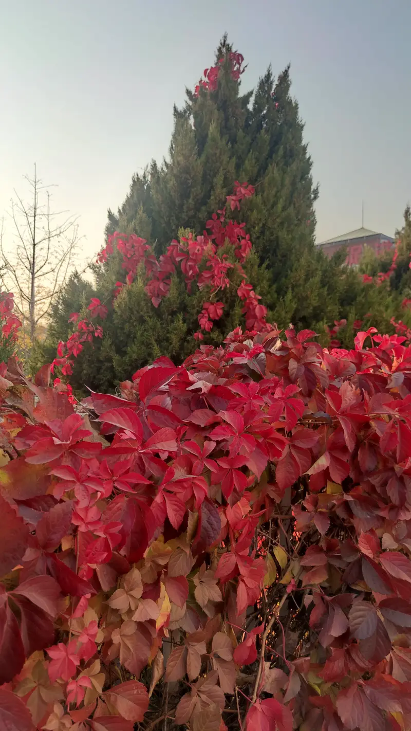 HuaiShuLing Park