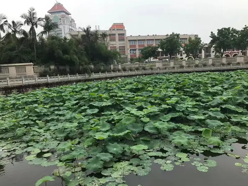 Nanputuo Temple Life-Release Pond