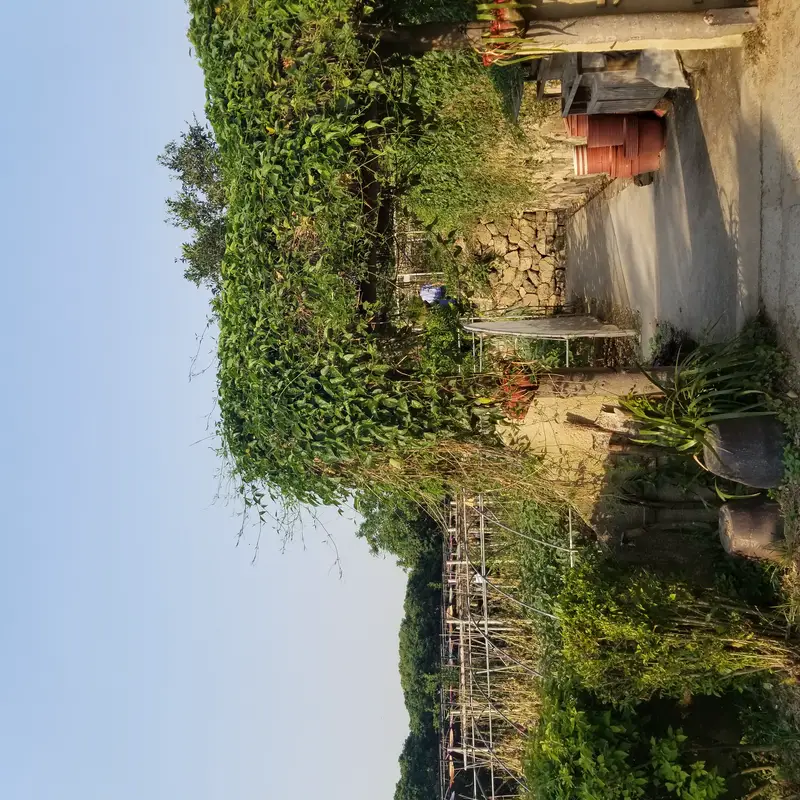 Fruit And Melon Park