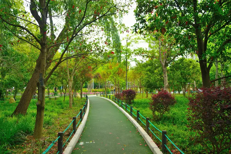 Peace Park