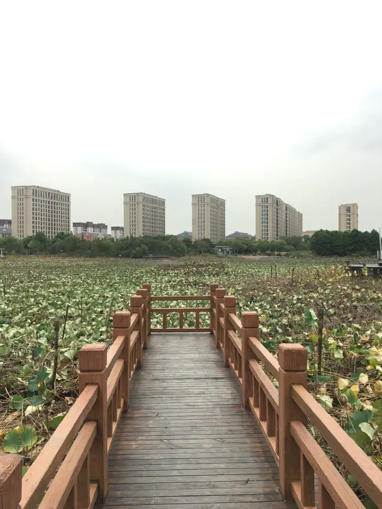 Haitianhu Park