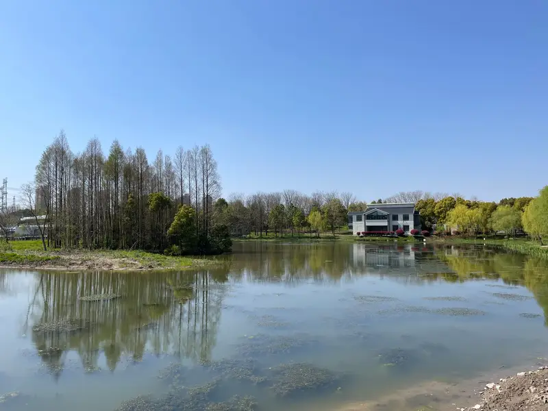 Jinhai Wetland Park