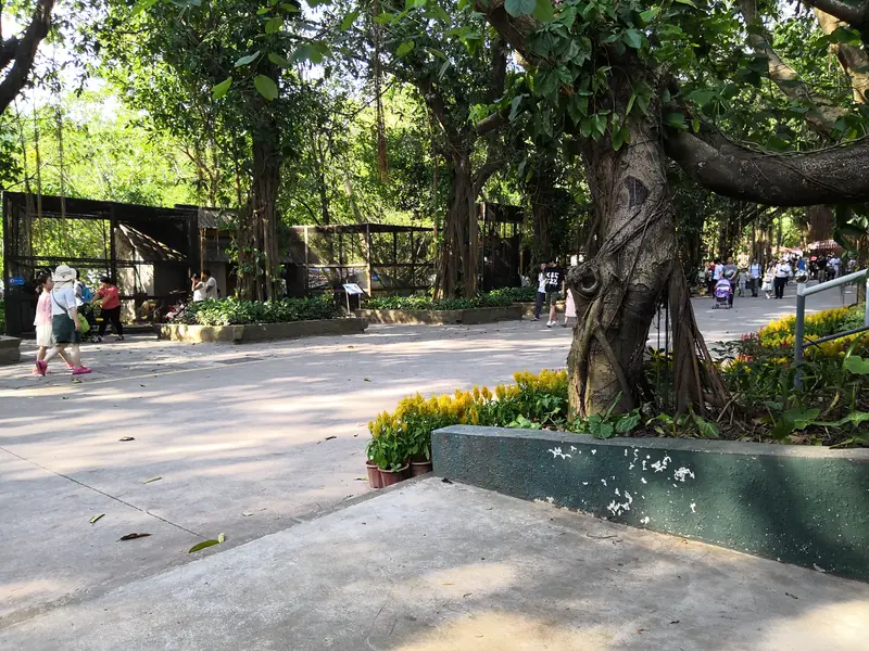 Shenzhen Safari Park Rare Bird Street