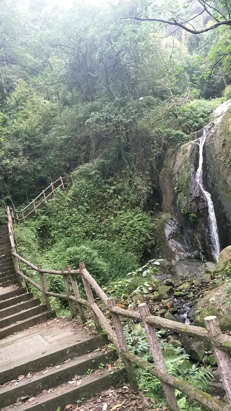 Chongqing Nanshan Botanical Garden-Great Golden Eagle