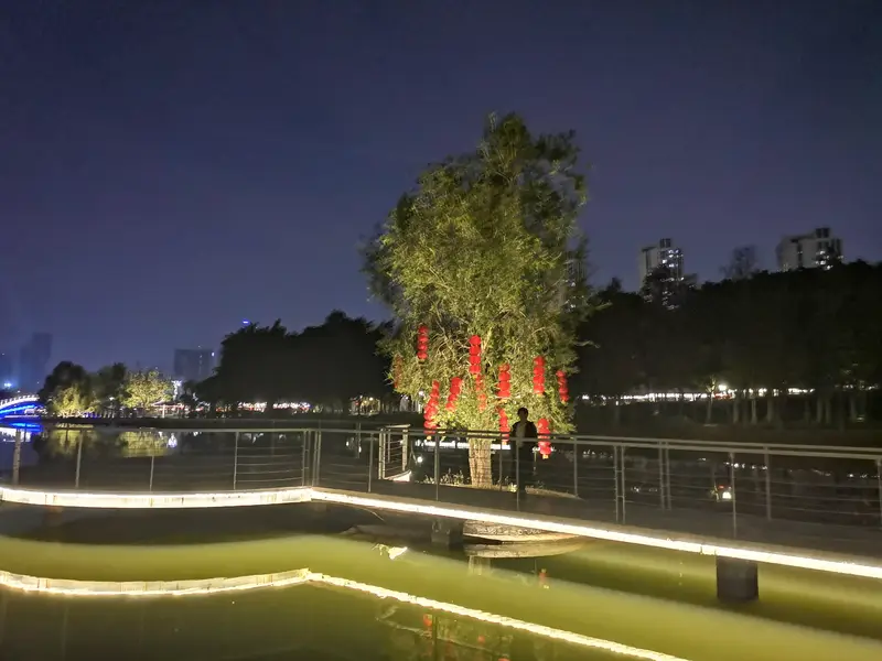 Pingshan New District Central Park