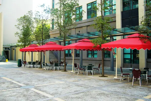 Lingnan University