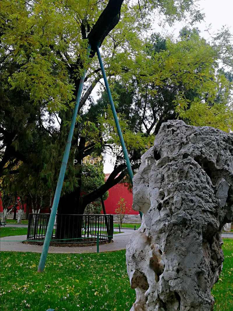 Huai-Cypress Embrace