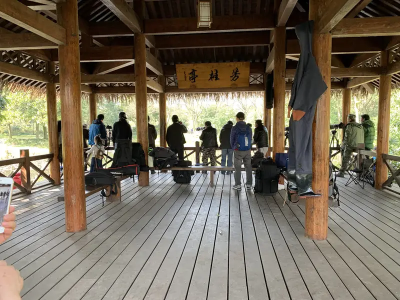 Pavilion