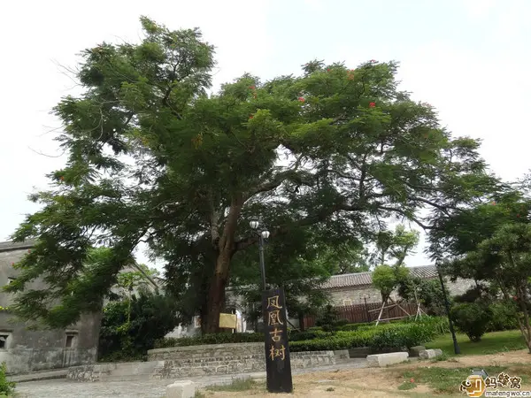 Phoenix Ancient Village