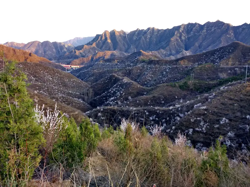 Shangweidian Village