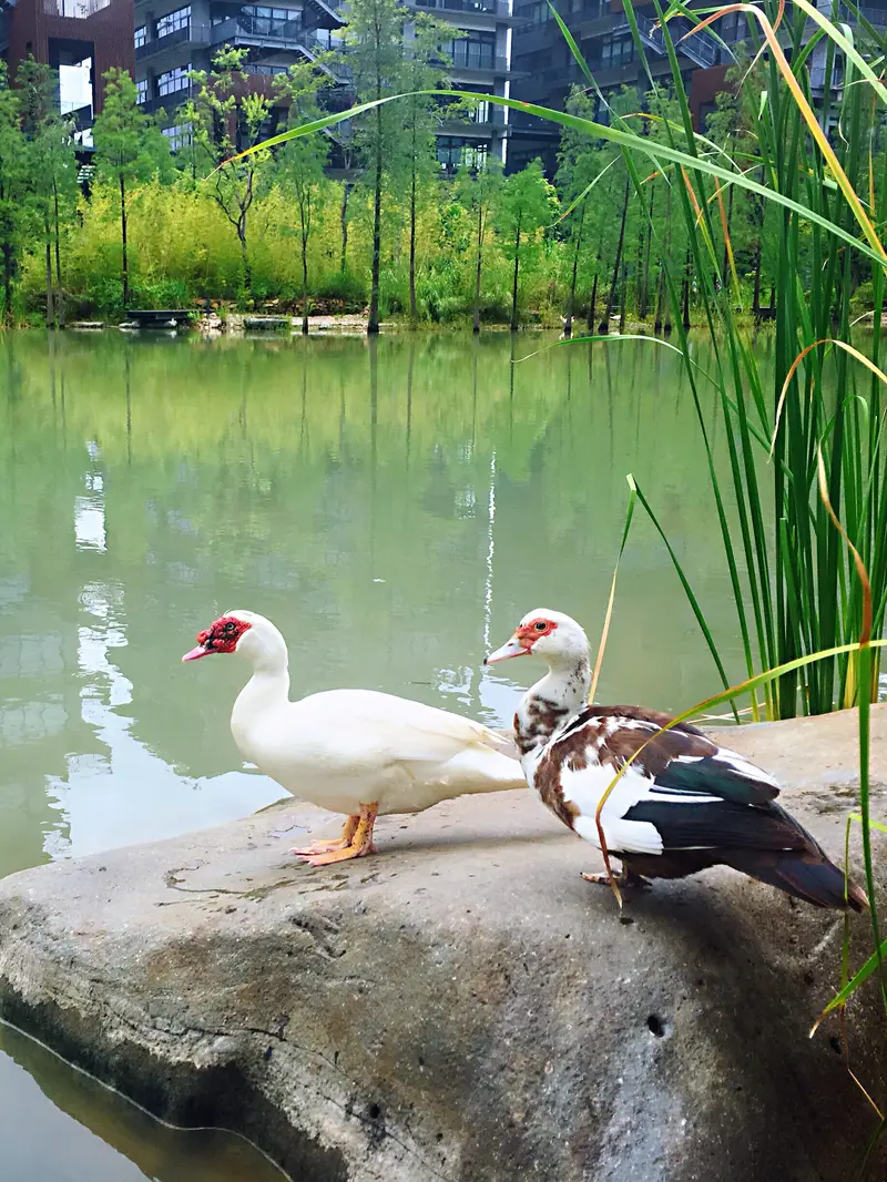 Huafeng No.1 Science And Technology Park