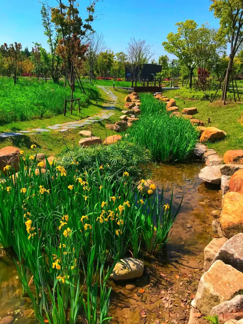 Luchao Port Park