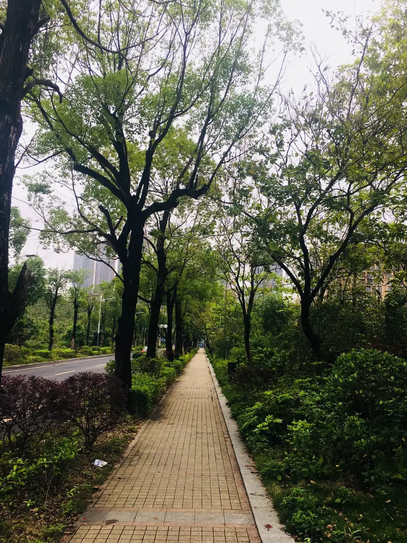 Hedong Pedestrian Street