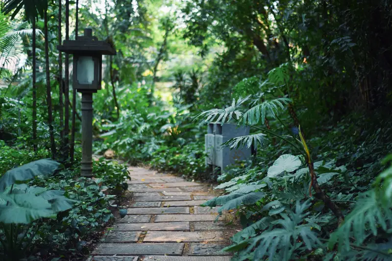 Orchid Garden