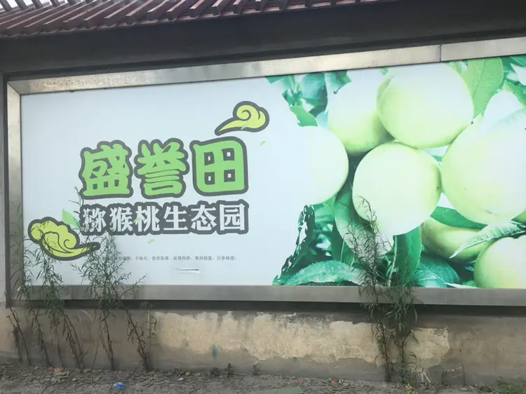 Spring Orchard