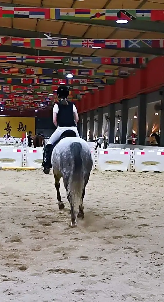 Shangwu International Equestrian And Archery Academy