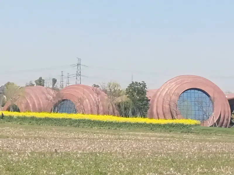Wood Art Exhibition Hall