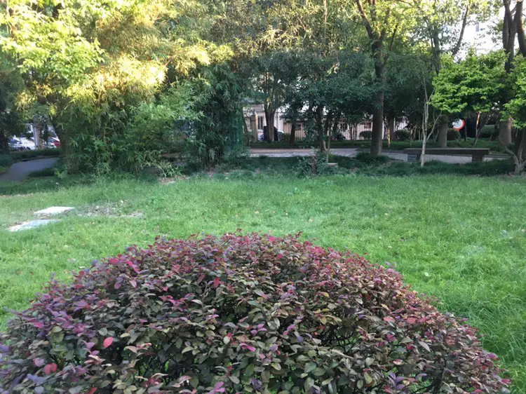 Wang Gang Park