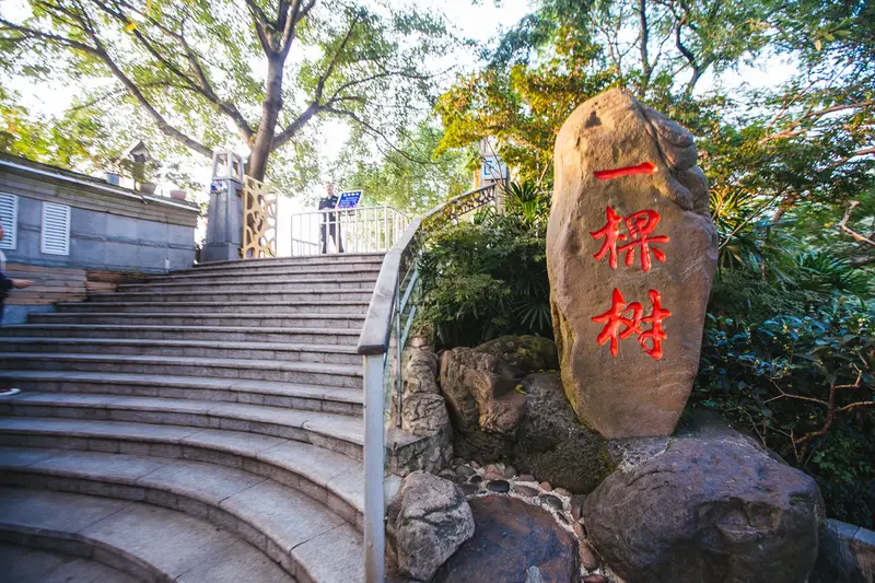 Nanshan One Tree Hill