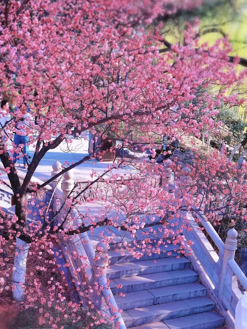 Xingqing Palace Park
