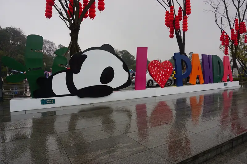Chengdu Research Base Of Giant Panda Breeding Panda Charm Theatre