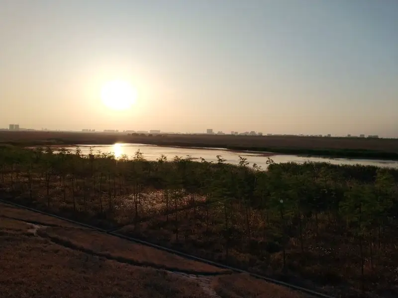 Nanhui Dongtan Wetland