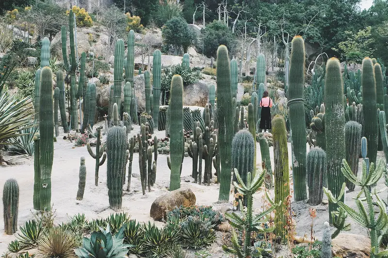 Xiamen Botanical Garden