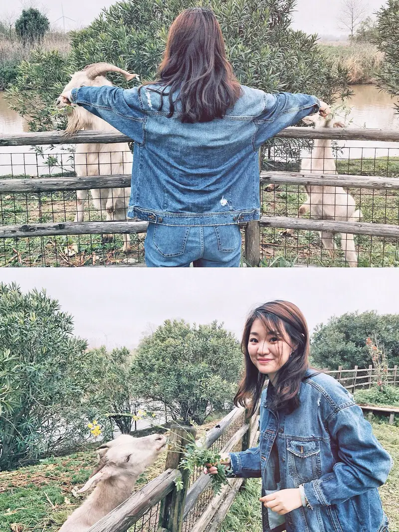 Chongming Dongtan National Nature Reserve