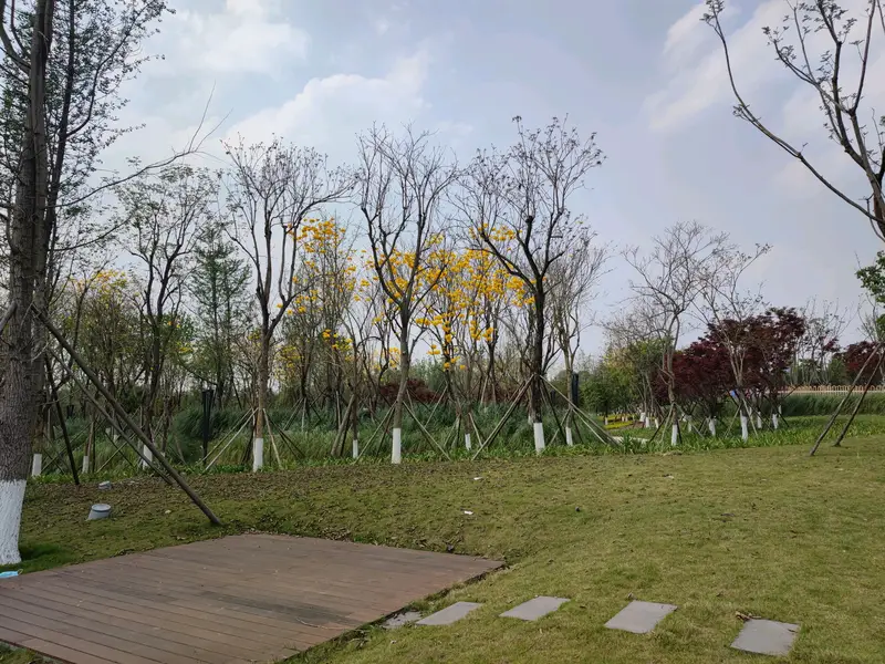 Lion Lake Wetland Park