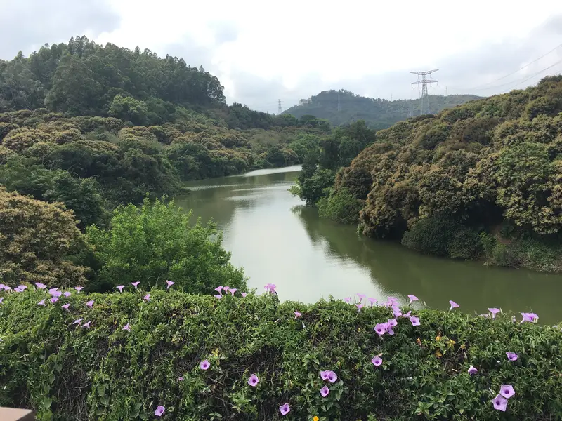 Botanical Garden Lake Area