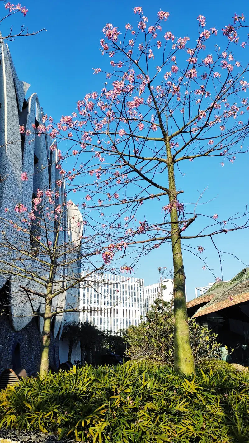 Xinrui Art Museum